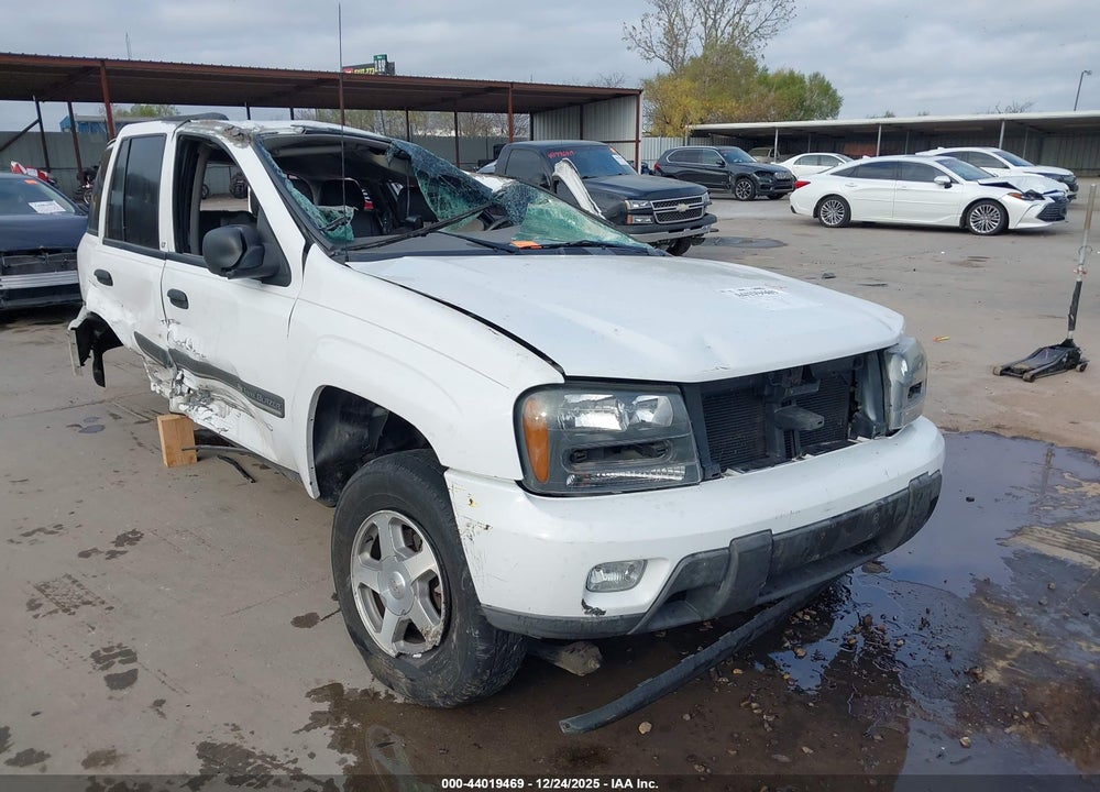 2002 CHEVROLET TRAILBLAZER LT VIN: 1GNDS13S222214887