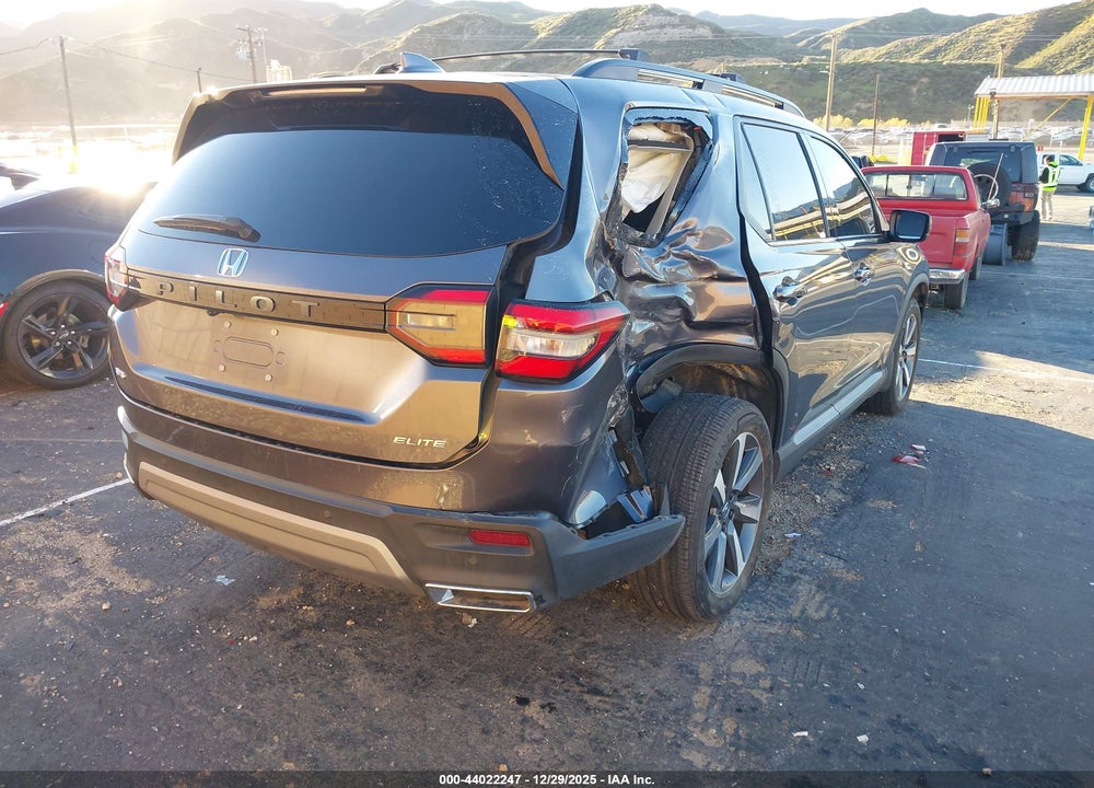 2024 HONDA PILOT ELITE VIN: 5FNYG1H88RB026195