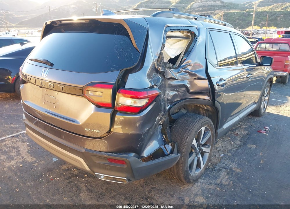 2024 HONDA PILOT ELITE VIN: 5FNYG1H88RB026195