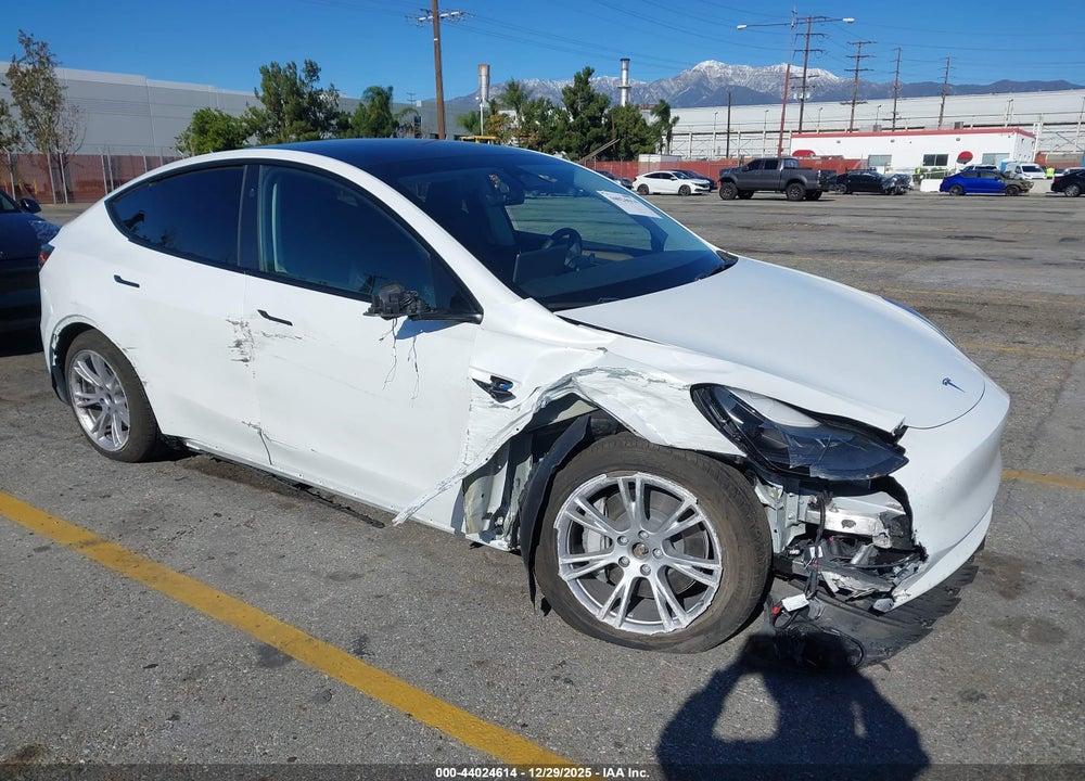 2024 TESLA MODEL Y LONG RANGE DUAL MOTOR ALL-WHEEL DRIVE VIN: 7SAYGDEE0RA216410