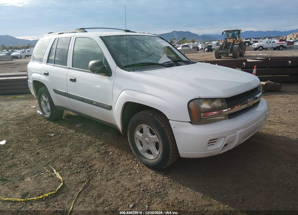 2003 CHEVROLET TRAILBLAZER LS VIN: 1GNDT13S232337863