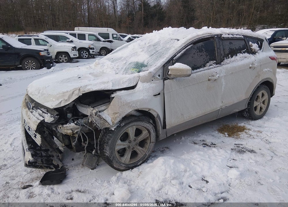 2014 FORD ESCAPE SE VIN: 1FMCU0G92EUD93775