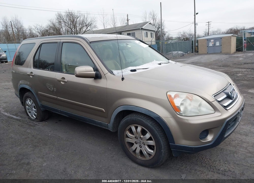 2006 HONDA CR-V SE VIN: JHLRD78906C061723
