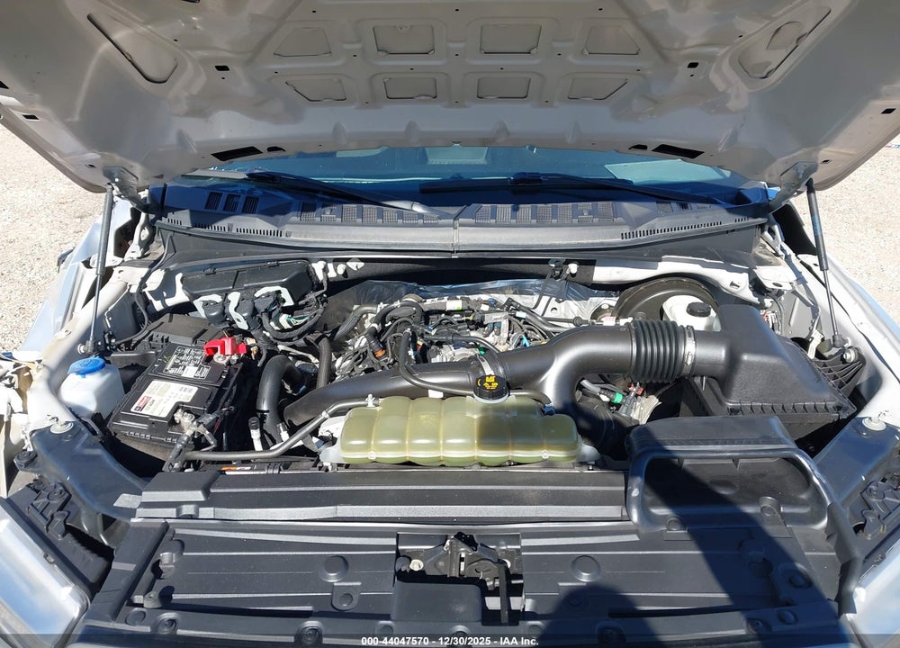 2019 FORD F-150 XL VIN: 1FTEW1CP6KKE75713