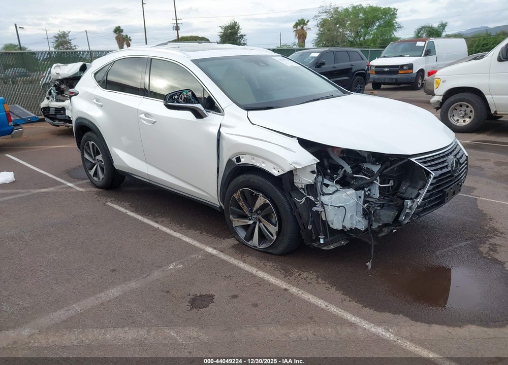 2020 LEXUS NX 300 VIN: JTJGARBZ1L2163161
