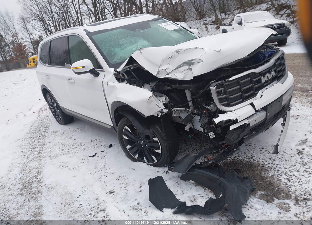 2024 KIA TELLURIDE SX PRESTIGE VIN: 5XYP5DGC2RG501857