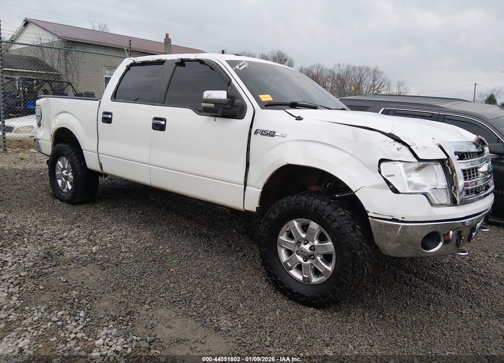 2013 FORD F-150 XLT VIN: 1FTFW1EF1DKF70398