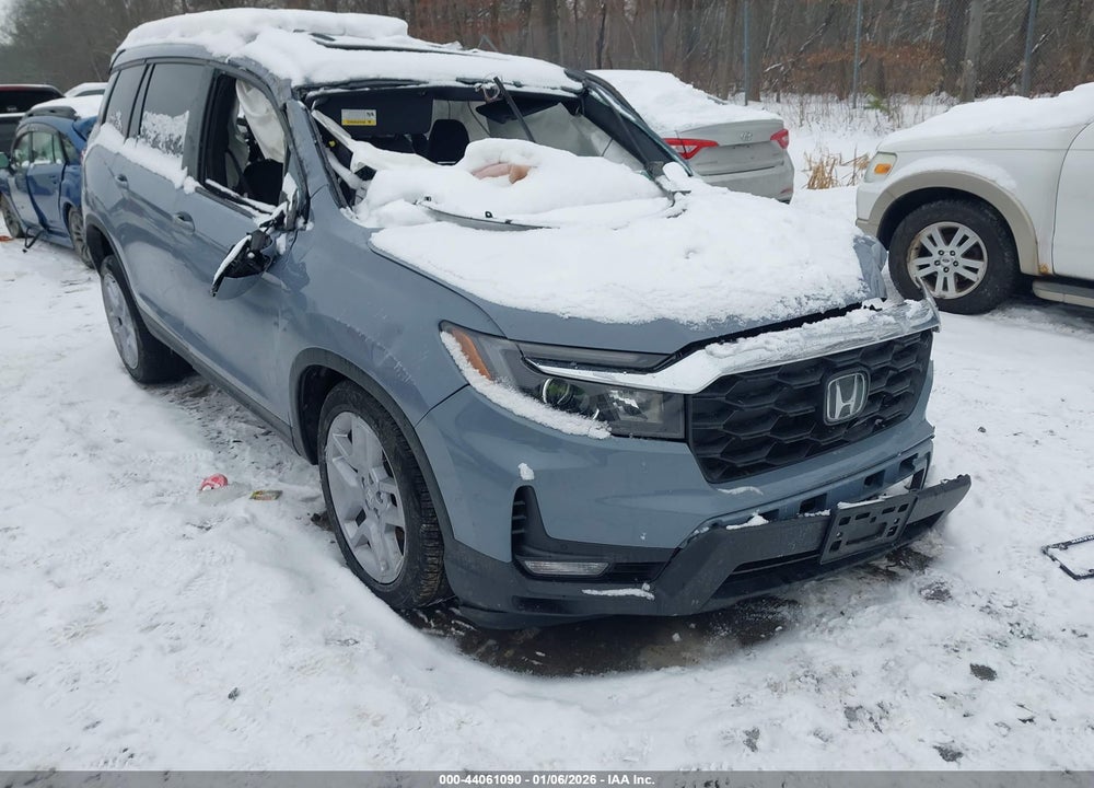2024 HONDA PASSPORT AWD EX-L VIN: 5FNYF8H51RB020322