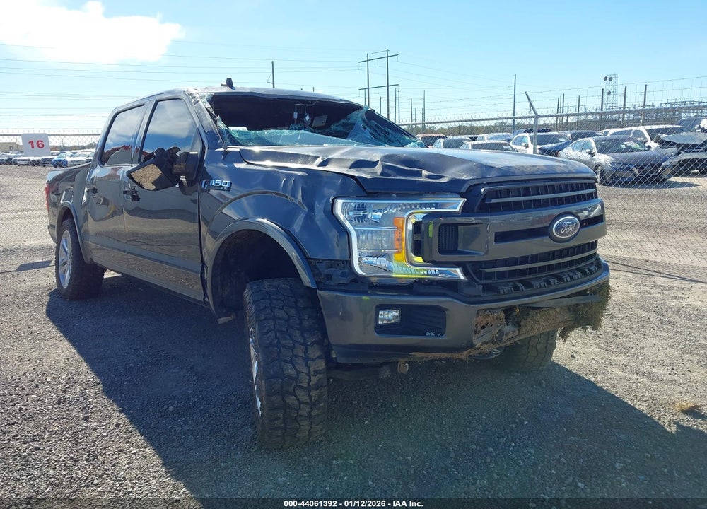 2019 FORD F-150 XLT VIN: 1FTEW1E44KKE98782