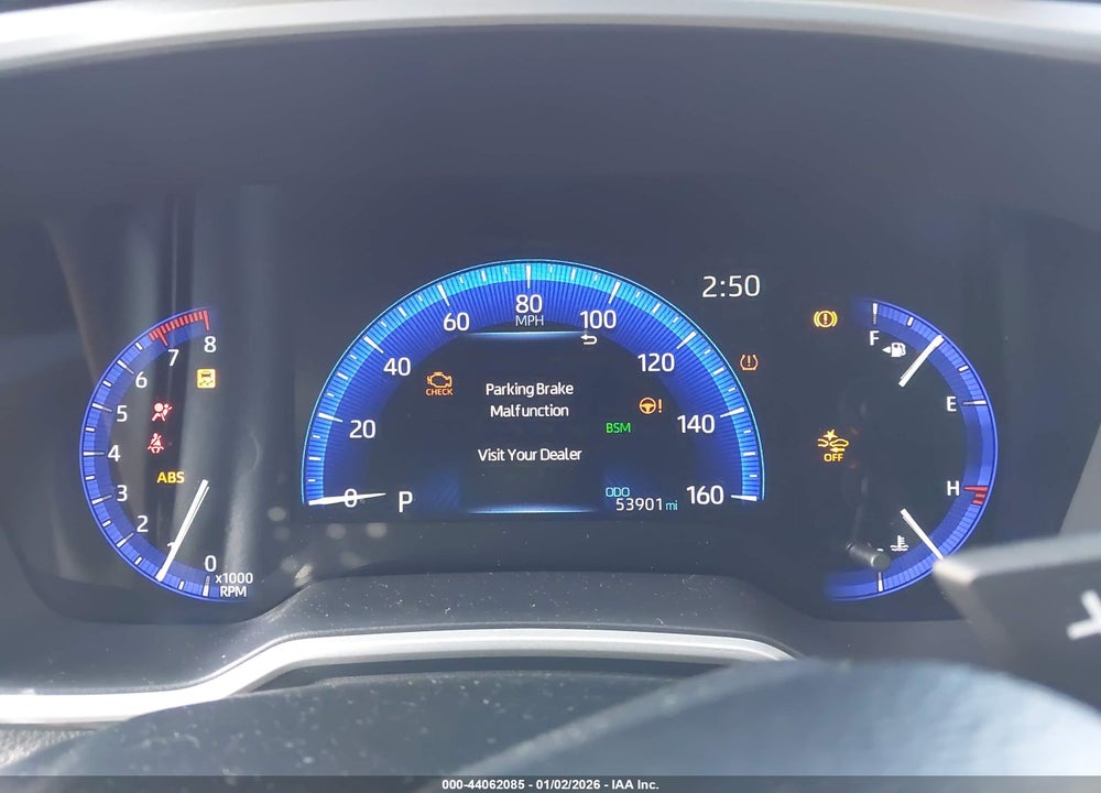 2019 TOYOTA COROLLA SE/XSE VIN: JTNK4RBE3K3012831