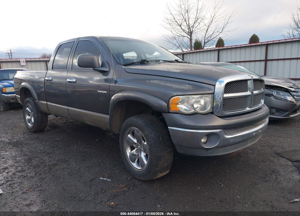 2002 DODGE RAM 1500 ST VIN: 3D7HU18N12G133996