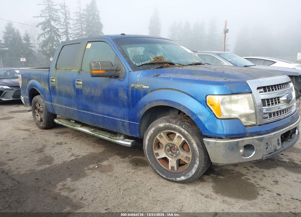 2013 FORD F-150 XLT VIN: 1FTFW1CF8DFE02379