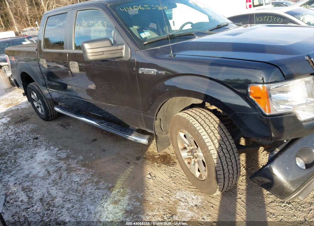 2014 FORD F-150 STX VIN: 1FTFW1EFXEKG01813