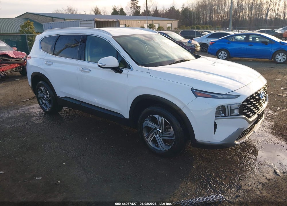 2023 HYUNDAI SANTA FE SEL VIN: 5NMS24AJ6PH548502
