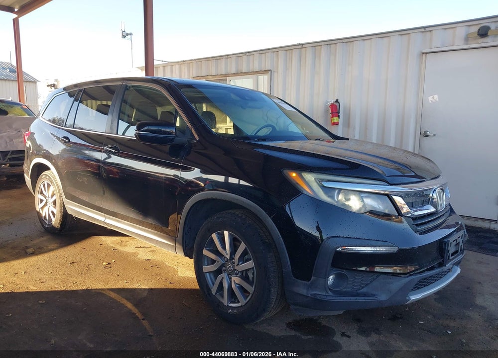 2019 HONDA PILOT EX-L VIN: 5FNYF5H52KB014162