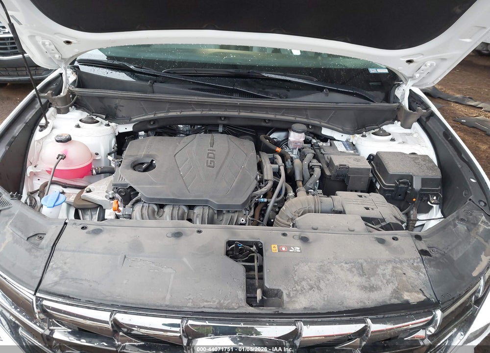 2024 HYUNDAI TUCSON LIMITED VIN: 5NMJECDE0RH313124