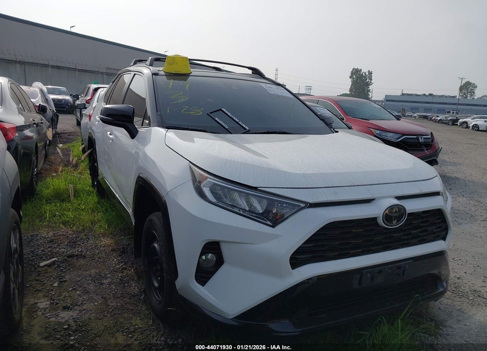 2019 TOYOTA RAV4 XLE VIN: 2T3W1RFV0KW044450