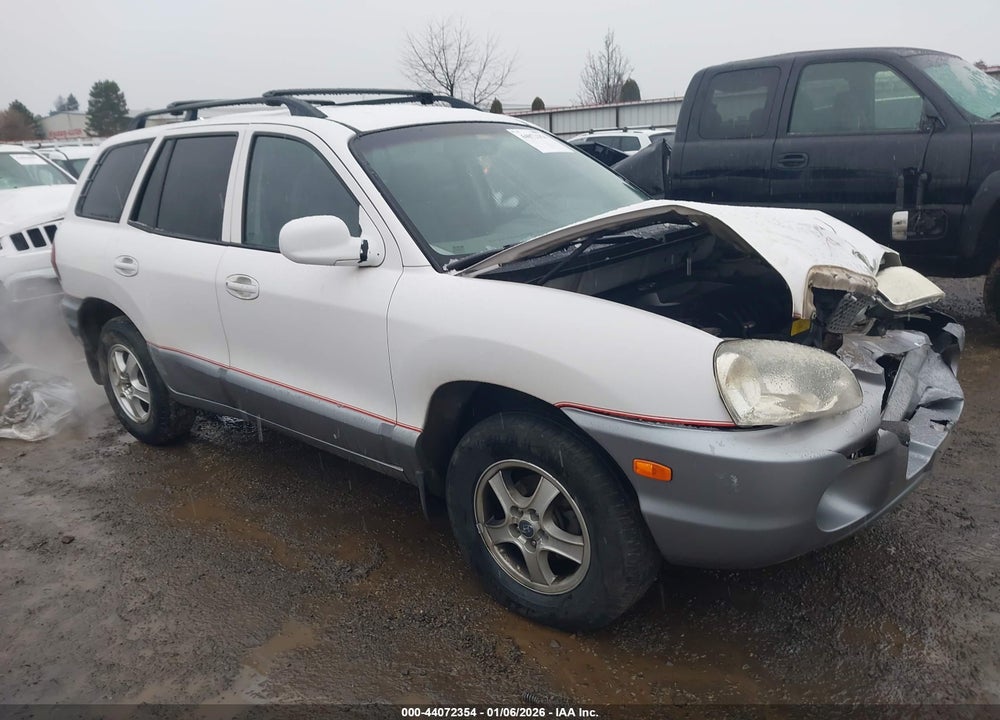 2003 HYUNDAI SANTA FE VIN: KM8SB12B63U342794