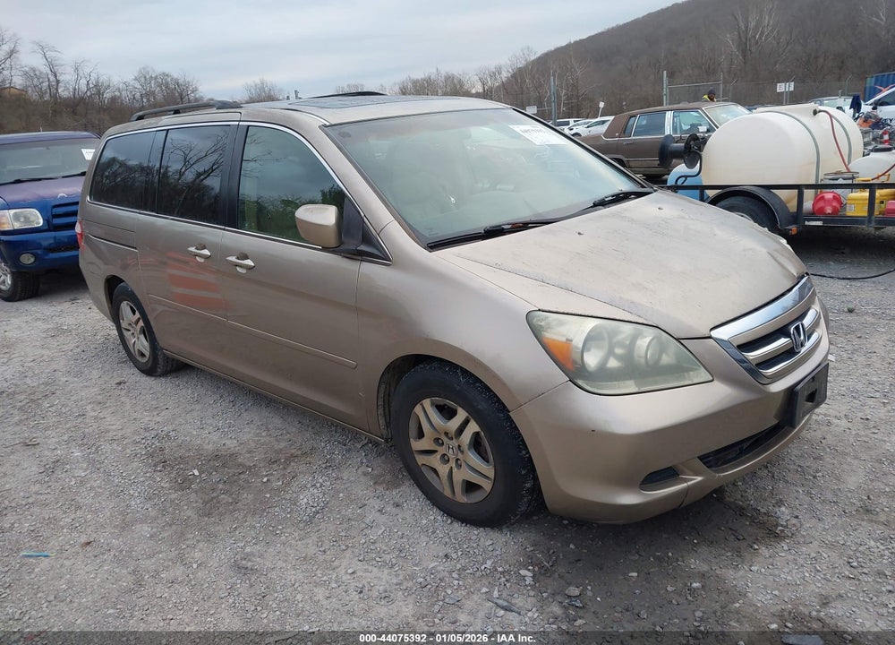 2005 HONDA ODYSSEY EX-L VIN: 5FNRL38775B073571