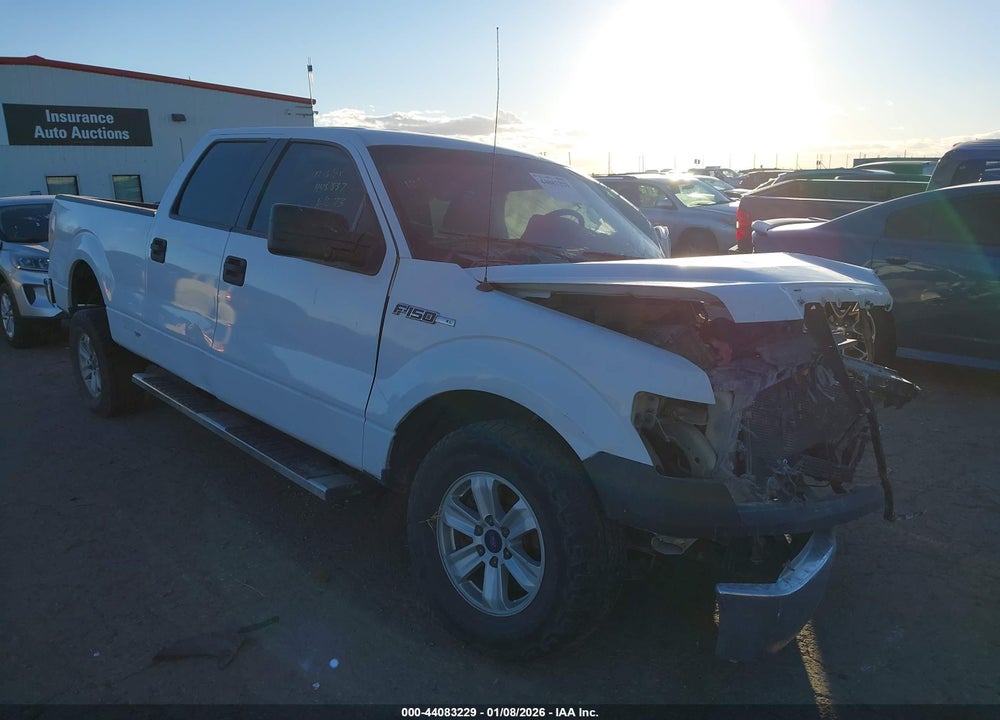 2012 FORD F-150 XL VIN: 1FTFW1CF8CKE39356