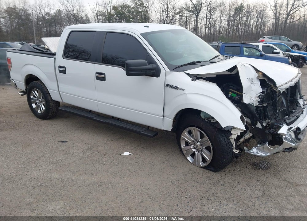 2010 FORD F-150 XLT VIN: 1FTFW1CV5AFA08910