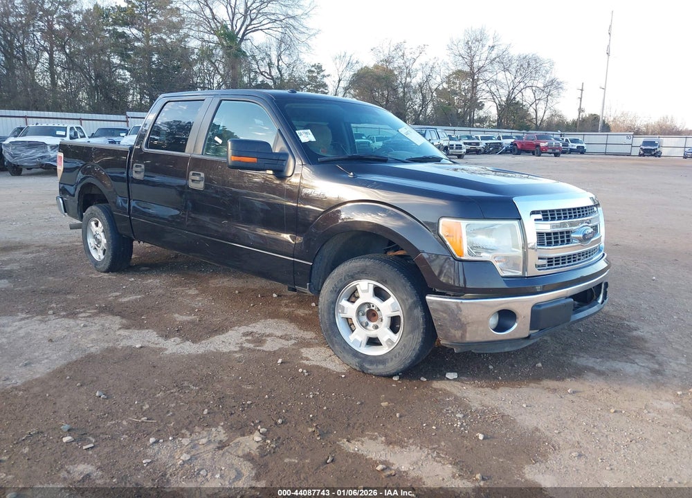 2014 FORD F-150 XLT VIN: 1FTEW1CM5EFC39993