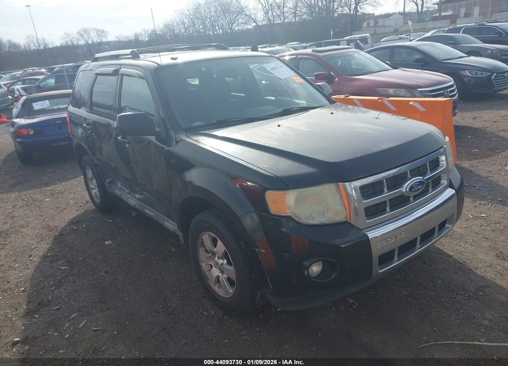 2010 FORD ESCAPE LIMITED VIN: 1FMCU0EG1AKB64950