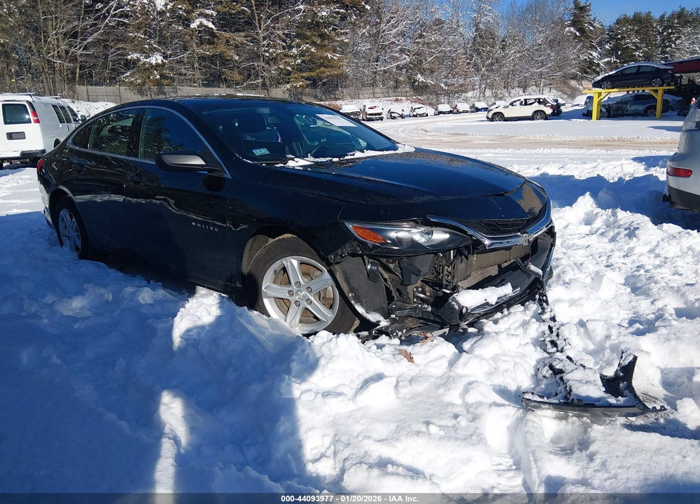 2019 CHEVROLET MALIBU 1LS VIN: 1G1ZB5STXKF221300