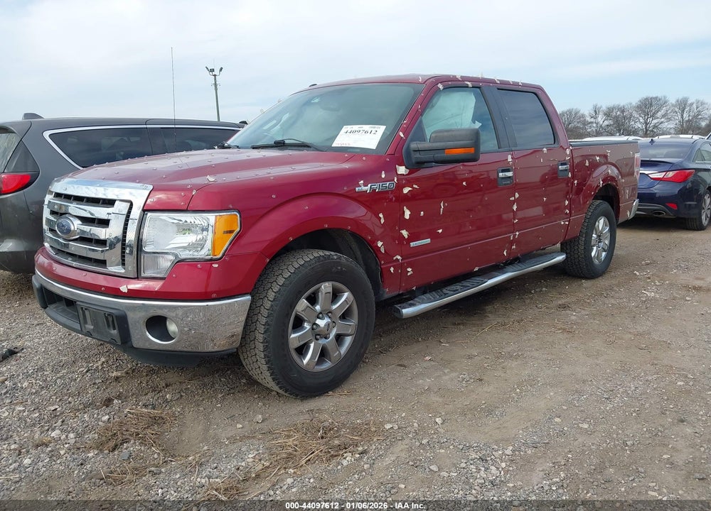 2014 FORD F-150 XLT VIN: 1FTFW1CT5EFB74896