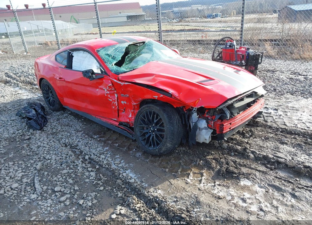 2019 FORD MUSTANG GT VIN: 1FA6P8CF7K5133693
