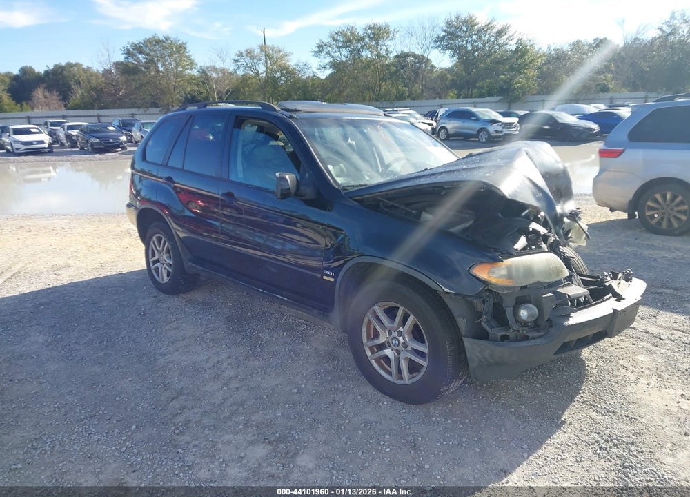 2005 BMW X5 3.0I VIN: 5UXFA13545LY11809
