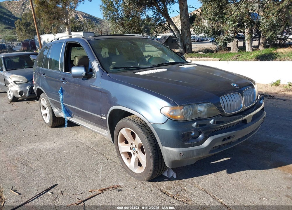 2005 BMW X5 4.4I VIN: 5UXFB53545LV16293