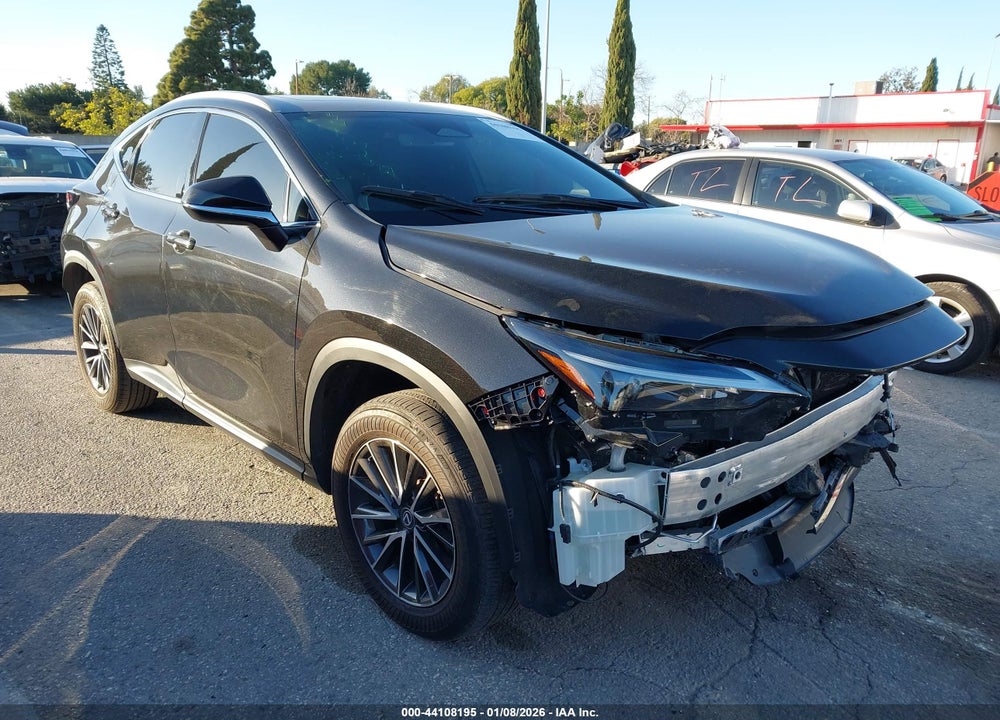 2024 LEXUS NX 250 VIN: 2T2ADCAZ2RC010602