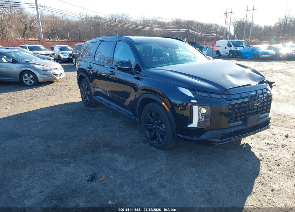 2024 HYUNDAI PALISADE XRT VIN: KM8R3DGE5RU662536