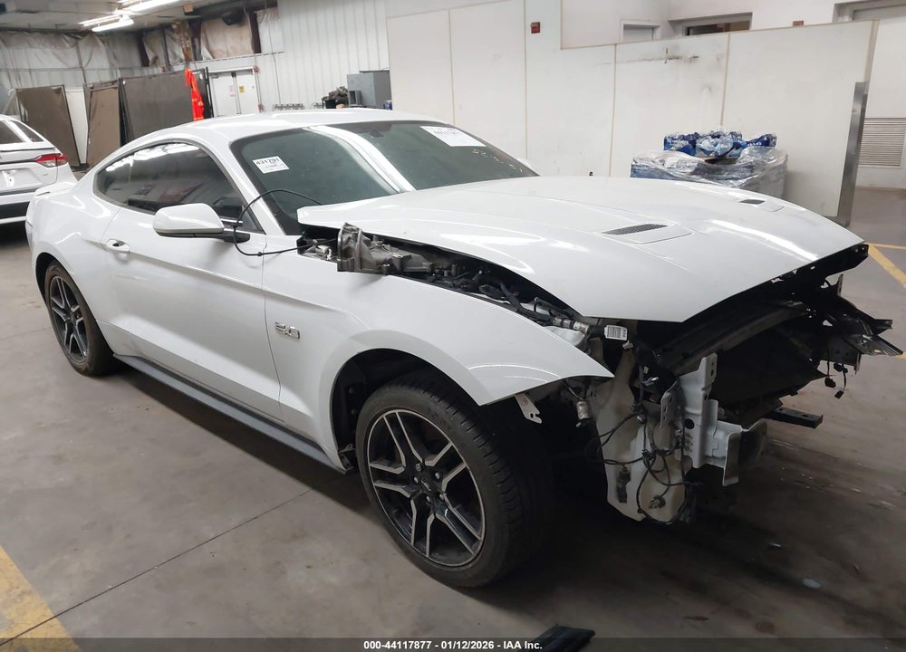 2019 FORD MUSTANG GT VIN: 1FA6P8CF9K5196651