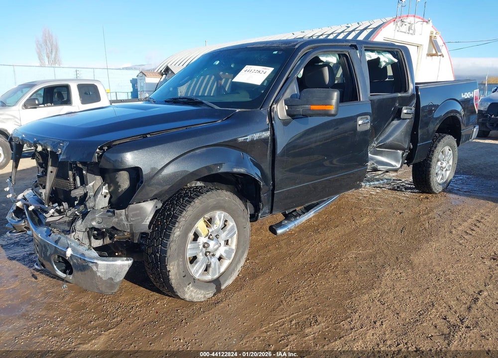 2012 FORD F-150 XLT VIN: 1FTFW1EF8CFC50986