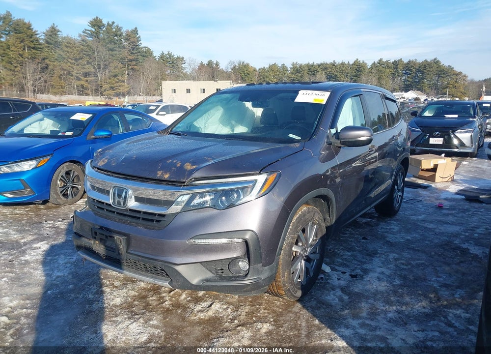 2021 HONDA PILOT AWD EX-L VIN: 5FNYF6H50MB053065