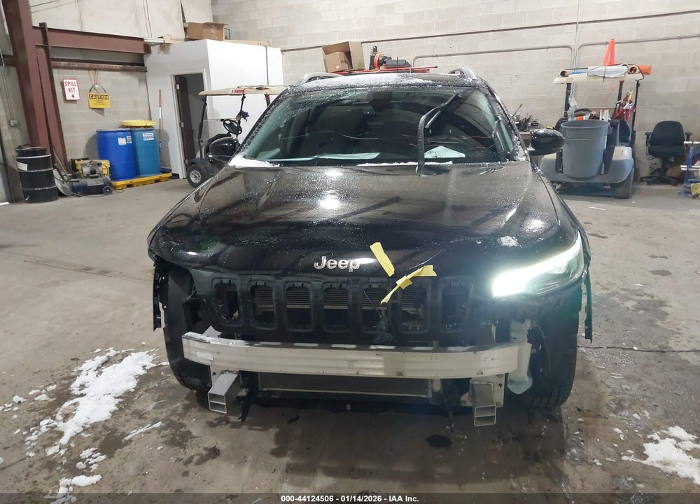2019 JEEP CHEROKEE LIMITED 4X4 VIN: 1C4PJMDX6KD380046