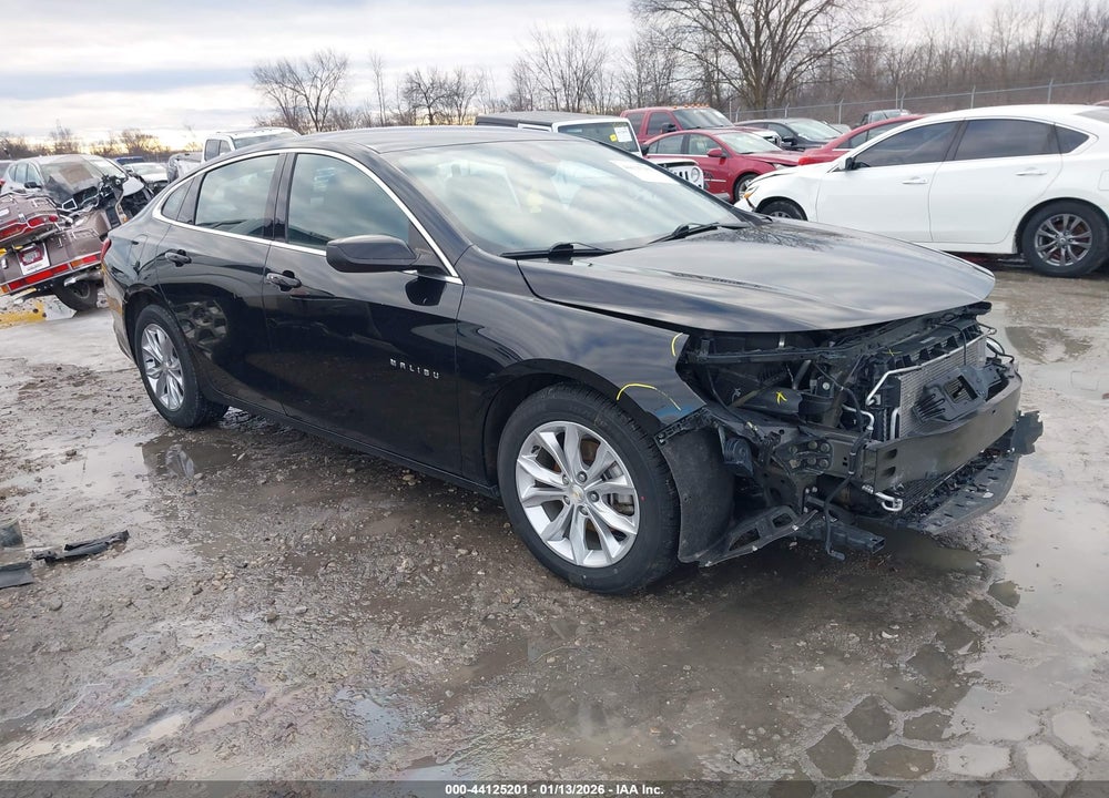 2023 CHEVROLET MALIBU FWD 1LT VIN: 1G1ZD5ST4PF222721