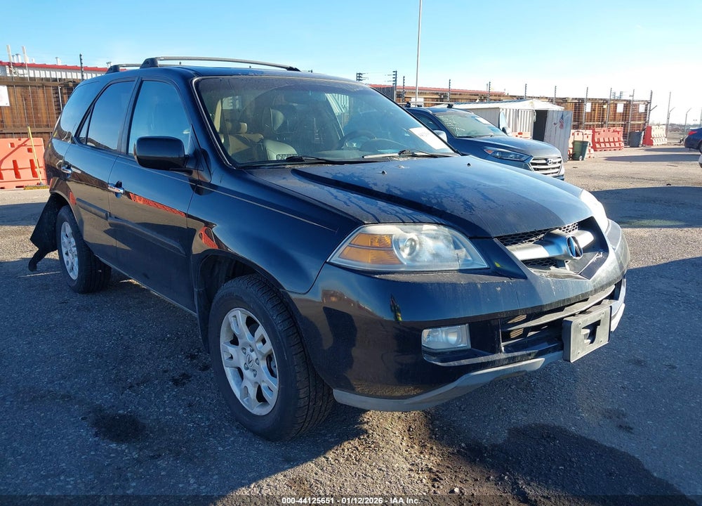 2004 ACURA MDX VIN: 2HNYD189X4H538653