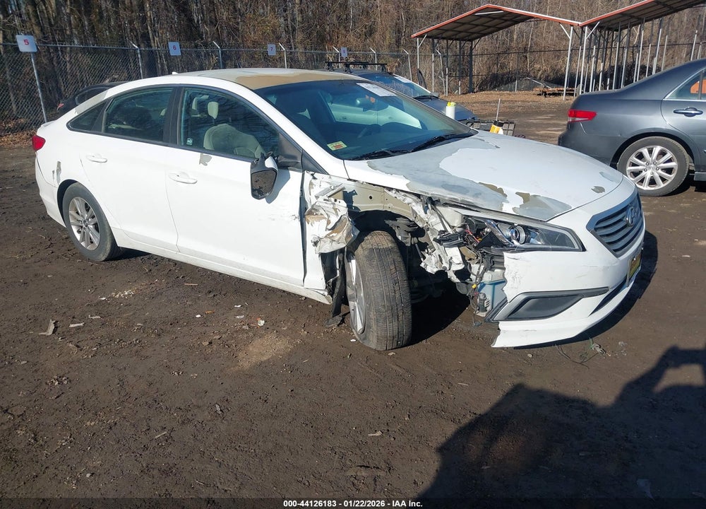 2017 HYUNDAI SONATA VIN: 5NPE24AF4HH535244