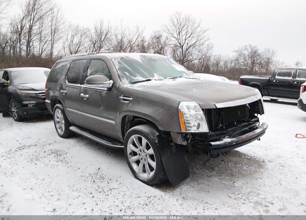 2014 CADILLAC ESCALADE LUXURY VIN: 1GYS4BEF1ER204387