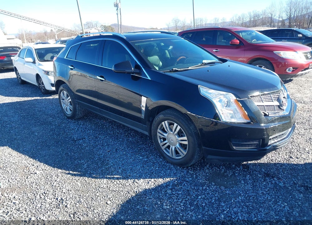 2010 CADILLAC SRX LUXURY COLLECTION VIN: 3GYFNDEY6AS500802