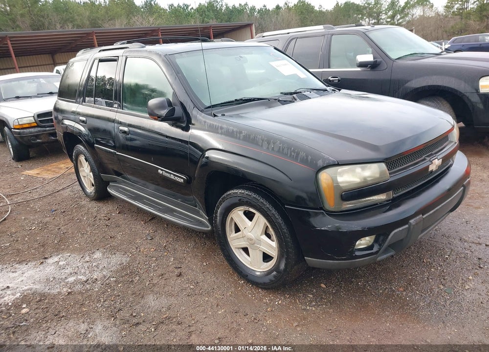 2002 CHEVROLET TRAILBLAZER LTZ VIN: 1GNDS13S622229036