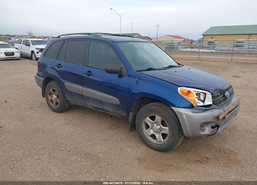 2004 TOYOTA RAV4 VIN: JTEHD20V646004891