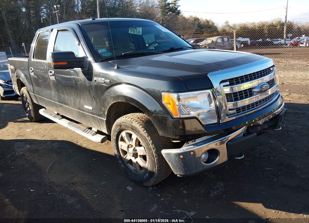 2013 FORD F-150 XLT VIN: 1FTFW1ET5DFA08115