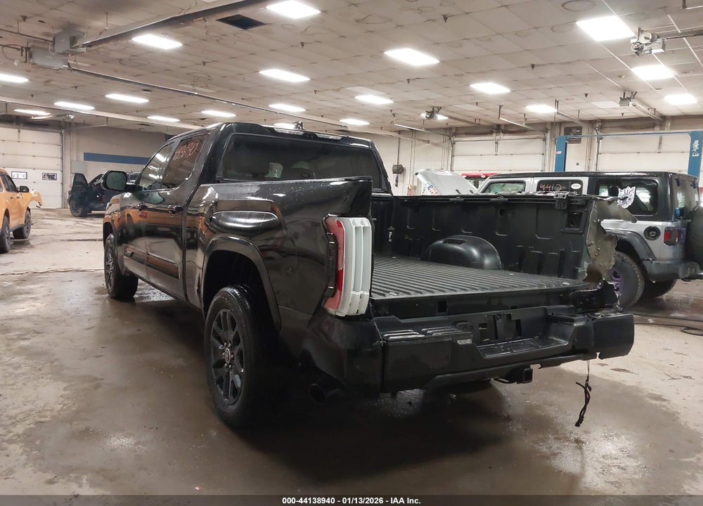 2023 TOYOTA TUNDRA PLATINUM VIN: 5TFNA5EC7PX015325