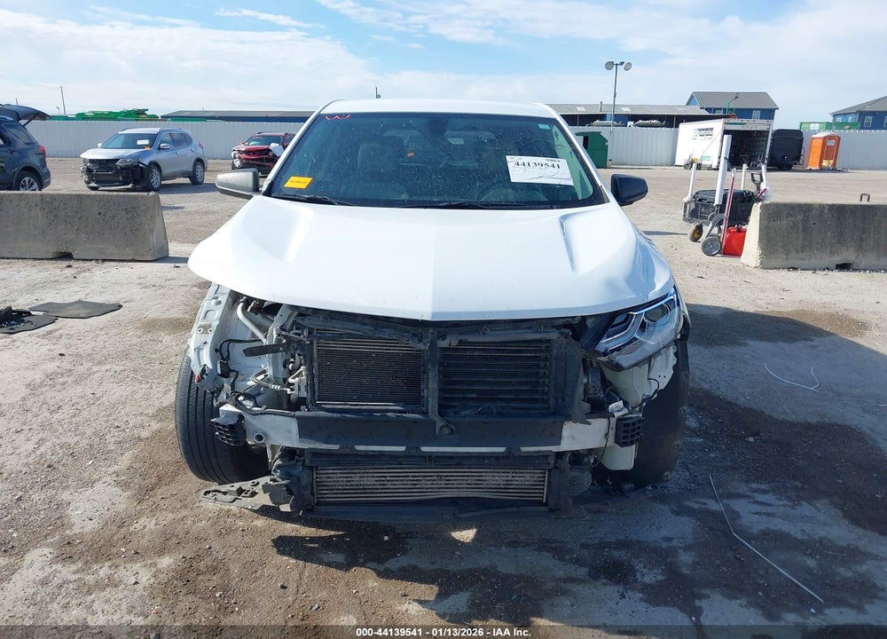 2019 CHEVROLET EQUINOX LS VIN: 3GNAXHEV7KS519360