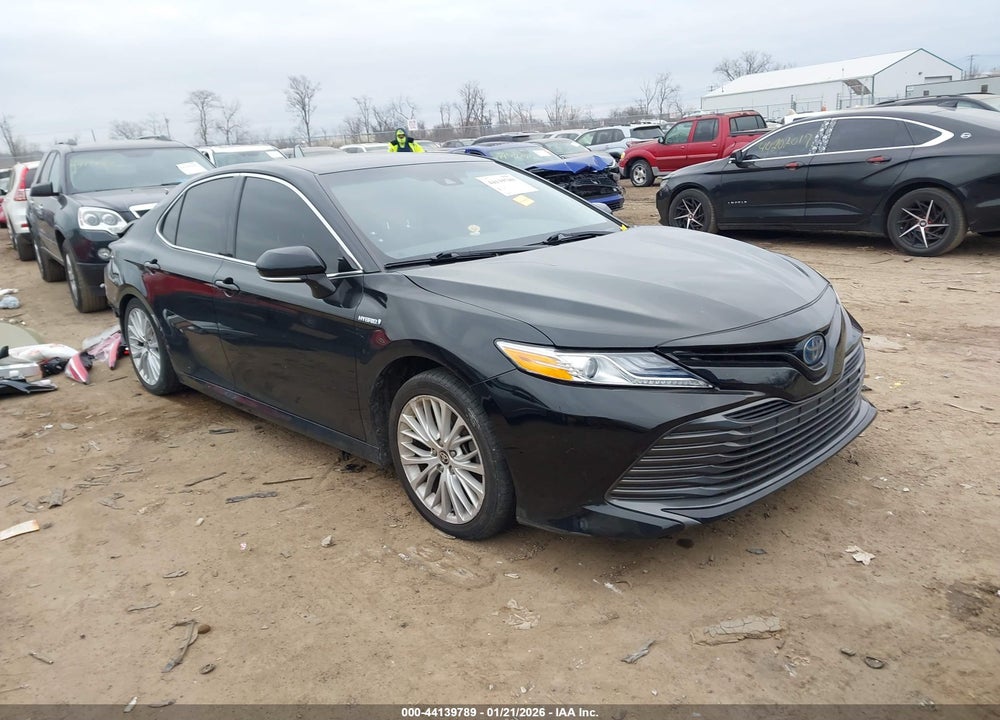 2020 TOYOTA CAMRY XLE HYBRID VIN: 4T1F31AK7LU541711