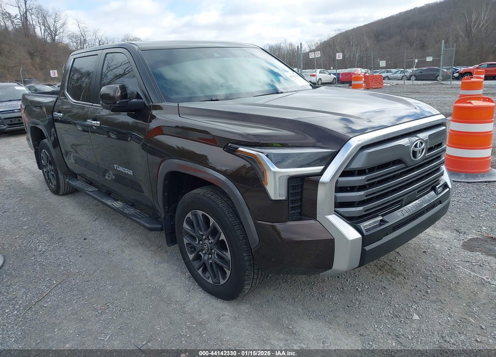 2025 TOYOTA TUNDRA CREWMAX LIMITED VIN: 5TFJA5DB2SX282582
